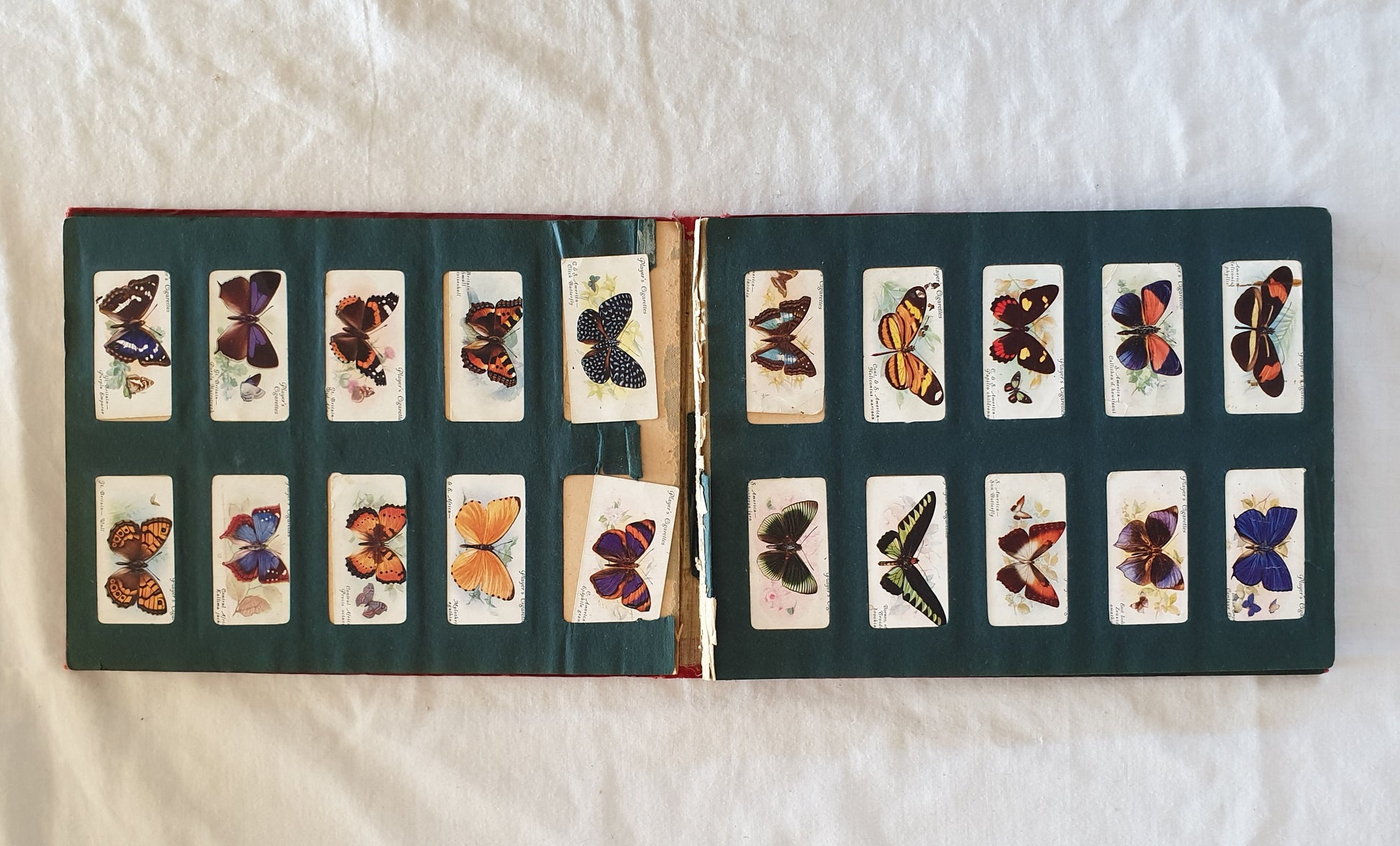 rare cigarette cards Will's Cigarette Card Album – Morgan's Rare Books