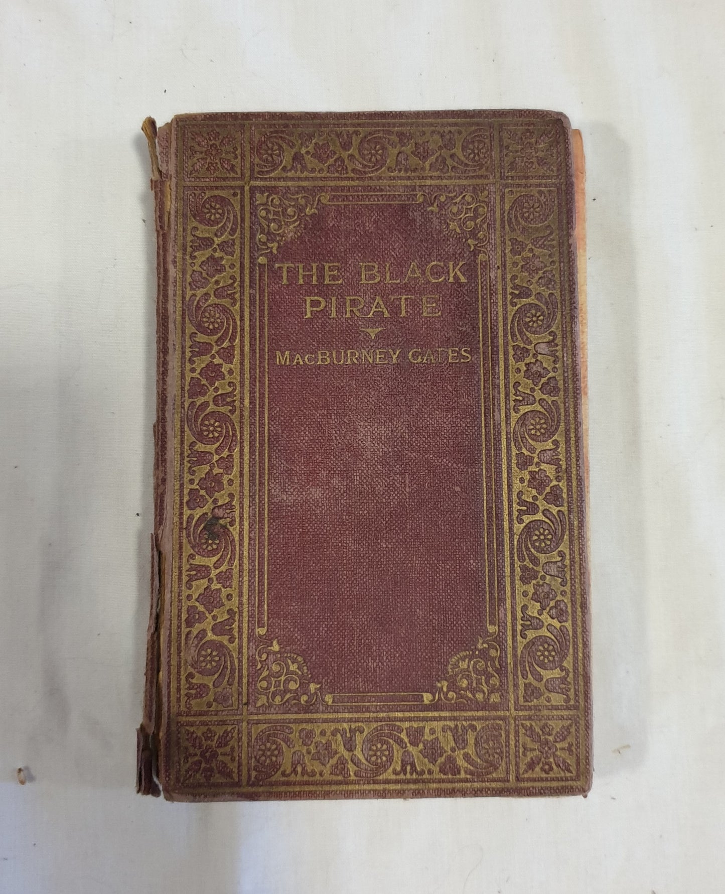 The Black Pirate by MacBurney Gates