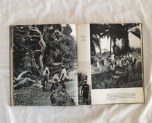 Load image into Gallery viewer, The World of Albert Schweitzer by Erica Anderson