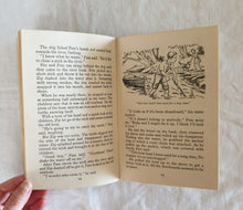 Load image into Gallery viewer, The Happy Hollisters on a River Trip by Jerry West