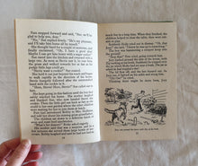Load image into Gallery viewer, The Happy Hollisters on a River Trip by Jerry West