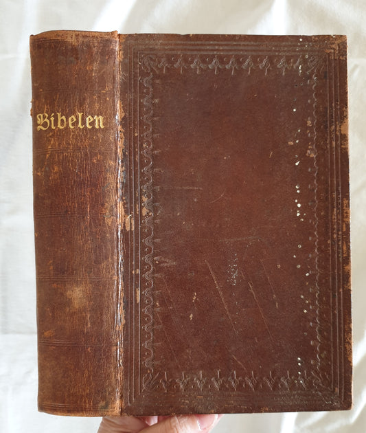 Bibelen eller den hellige Skrift, indeholdende det Gamle og Nye Testamentes