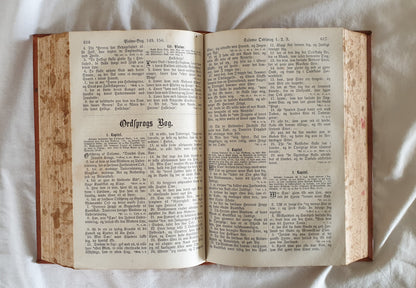 Bibelen eller den hellige Skrift, indeholdende det Gamle og Nye Testamentes