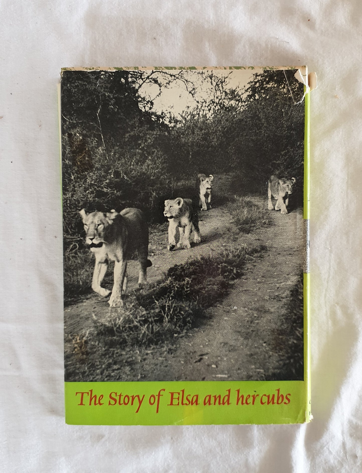 Living Free: The Story of Elsa and Her Cubs by Joy Adamson
