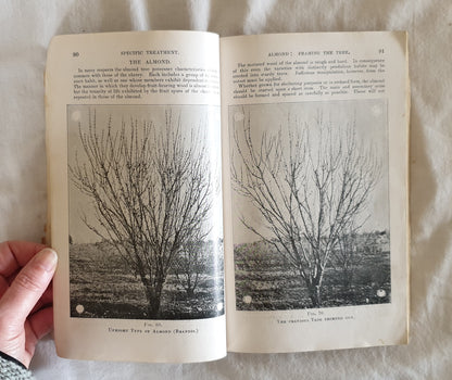 Fruit Tree and Grape Vine Pruning by George Quinn
