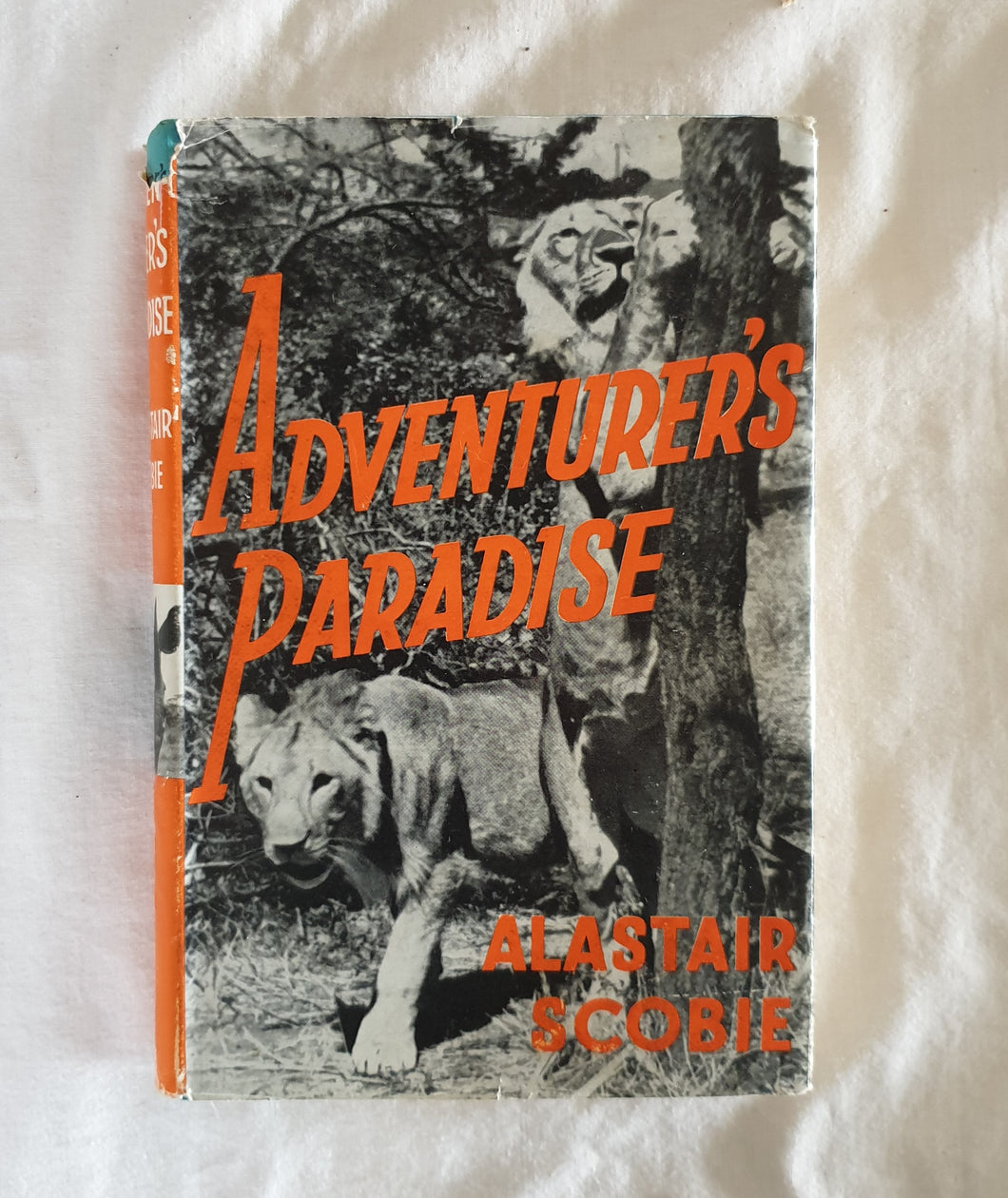 Adventurer's Paradise by Alastair Scobie