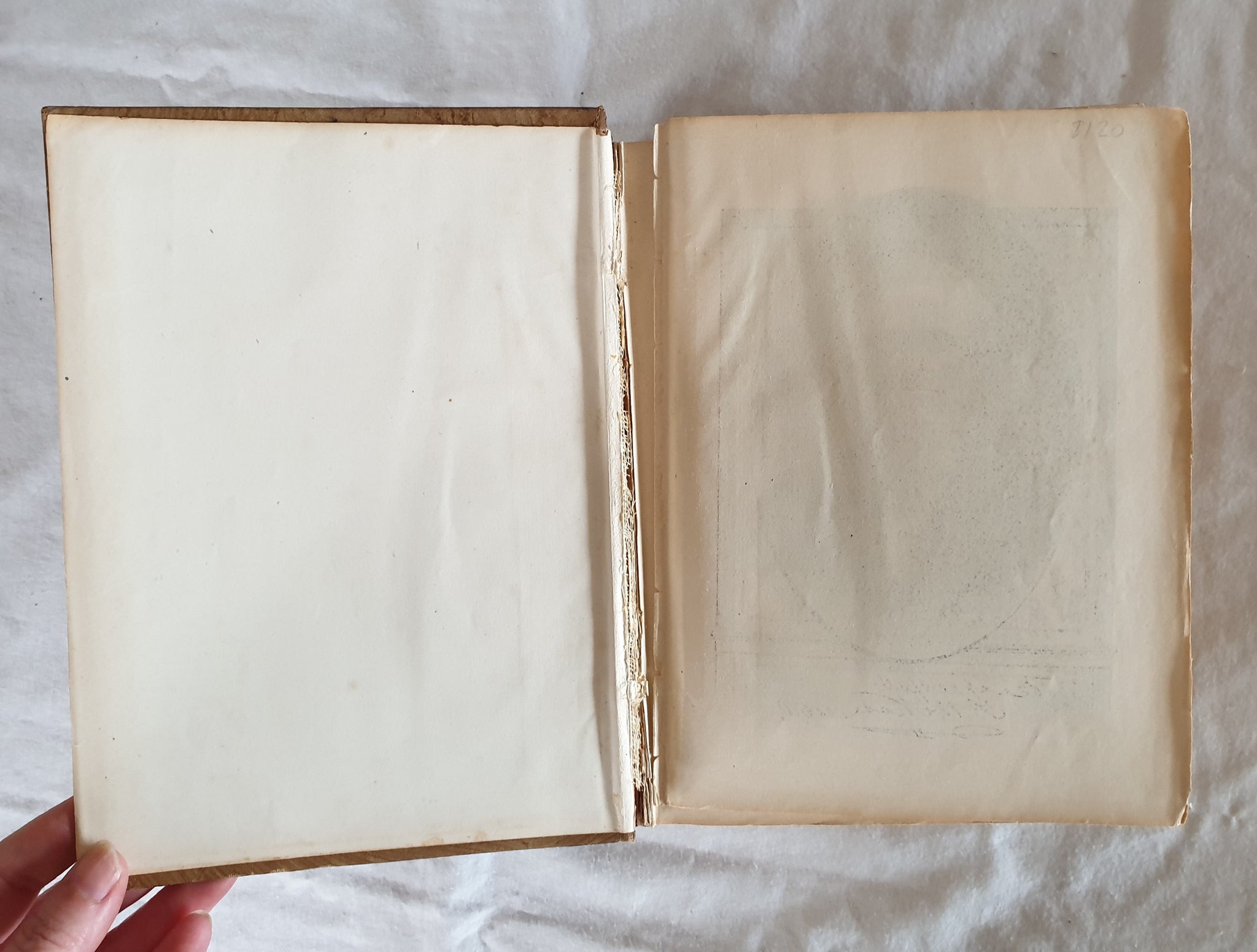 Dr Chase's Third Last and Complete Receipt Book by A. W. Chase – Morgan ...