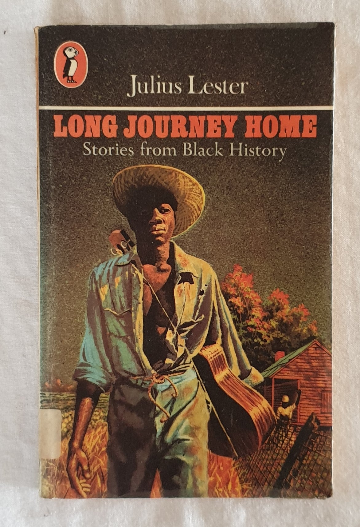 Long Journey Home  Stories From Black History  by Julius Lester