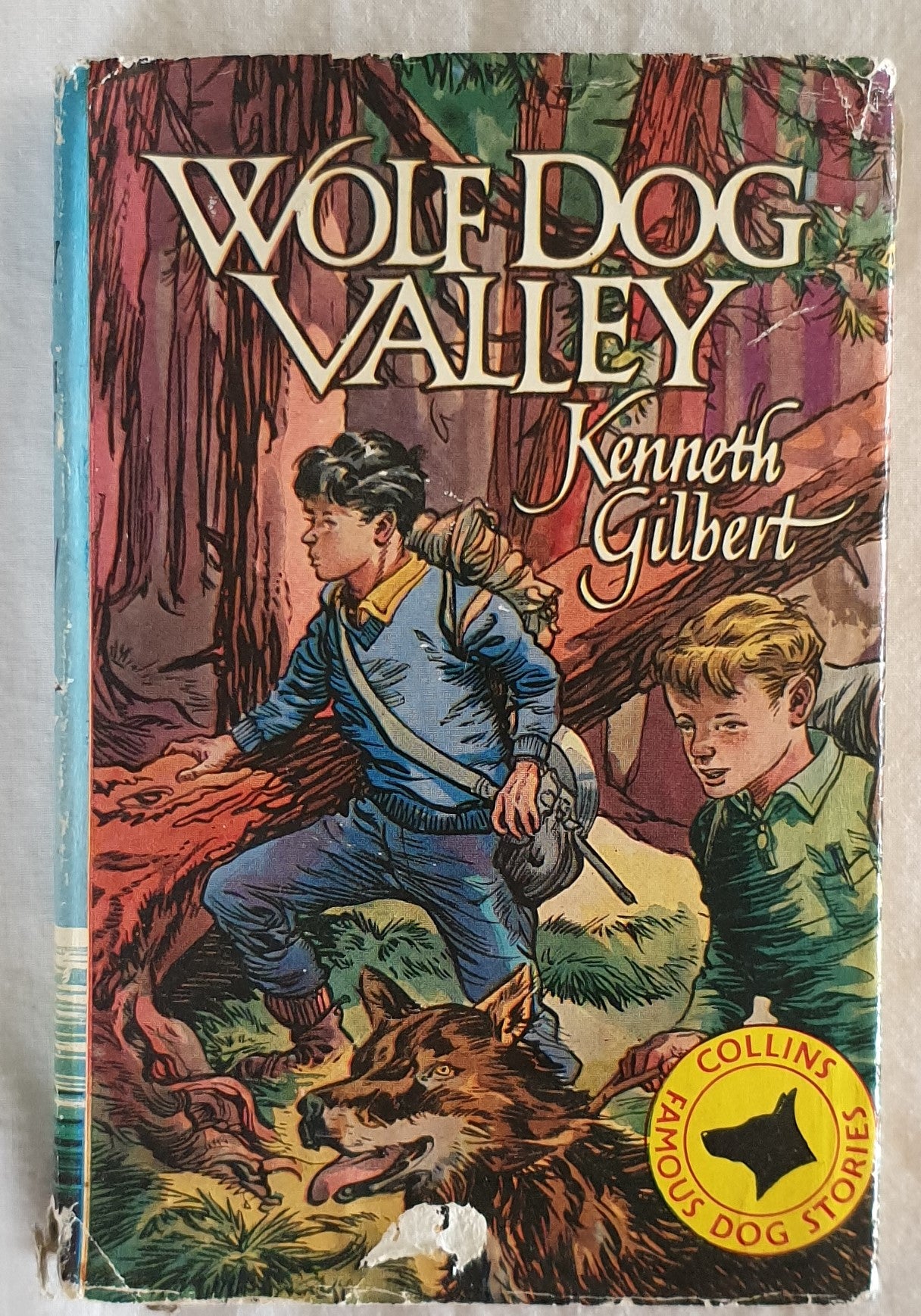 Wolf Dog Valley  by Kenneth Gilbert