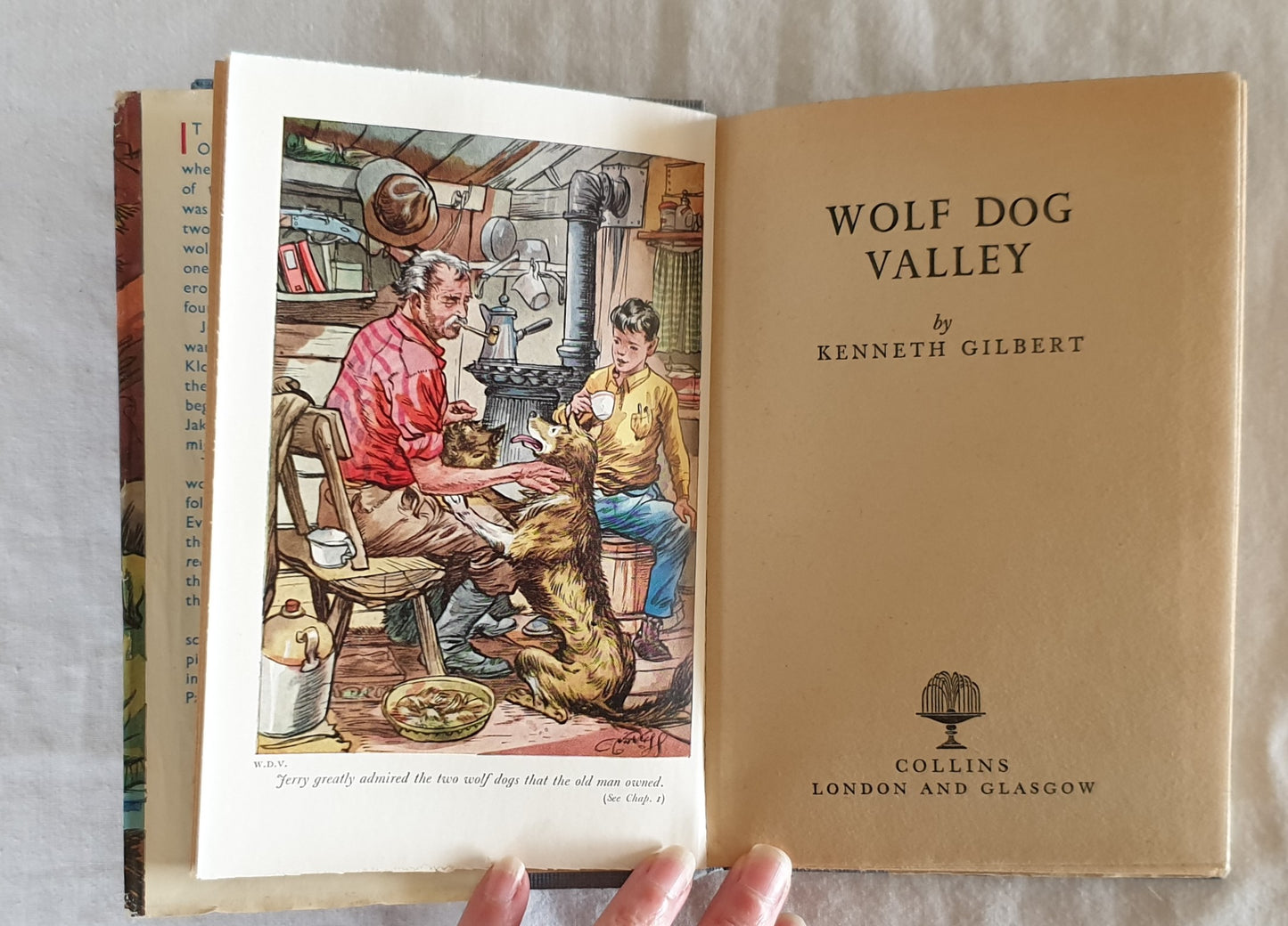 Wolf Dog Valley  by Kenneth Gilbert