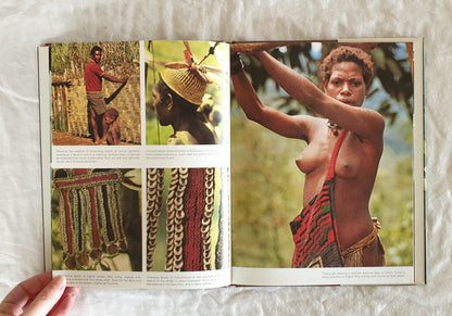 The Arts of Papua New Guinea by James Sinclair