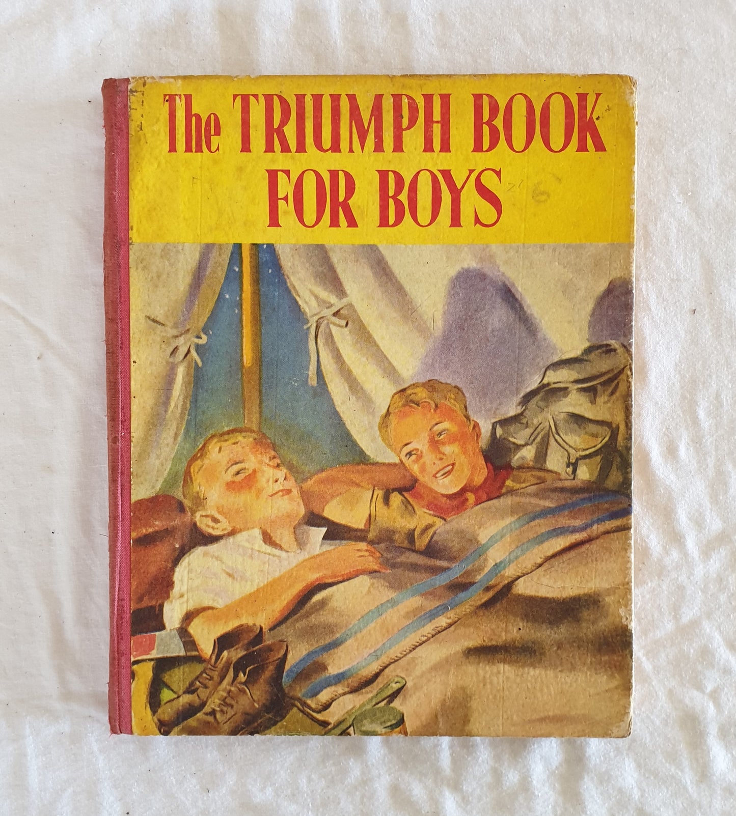The Triumph Book for Boys  The Children's Press