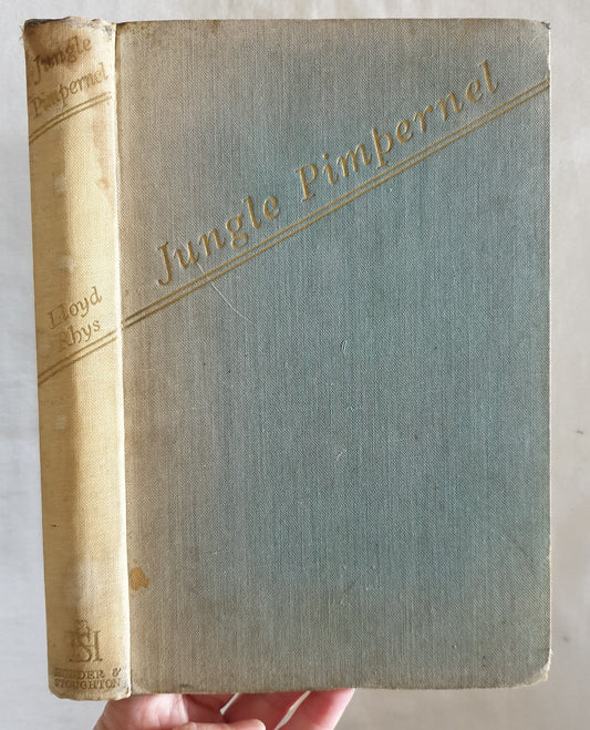 Jungle Pimpernel by Lloyd Rhys