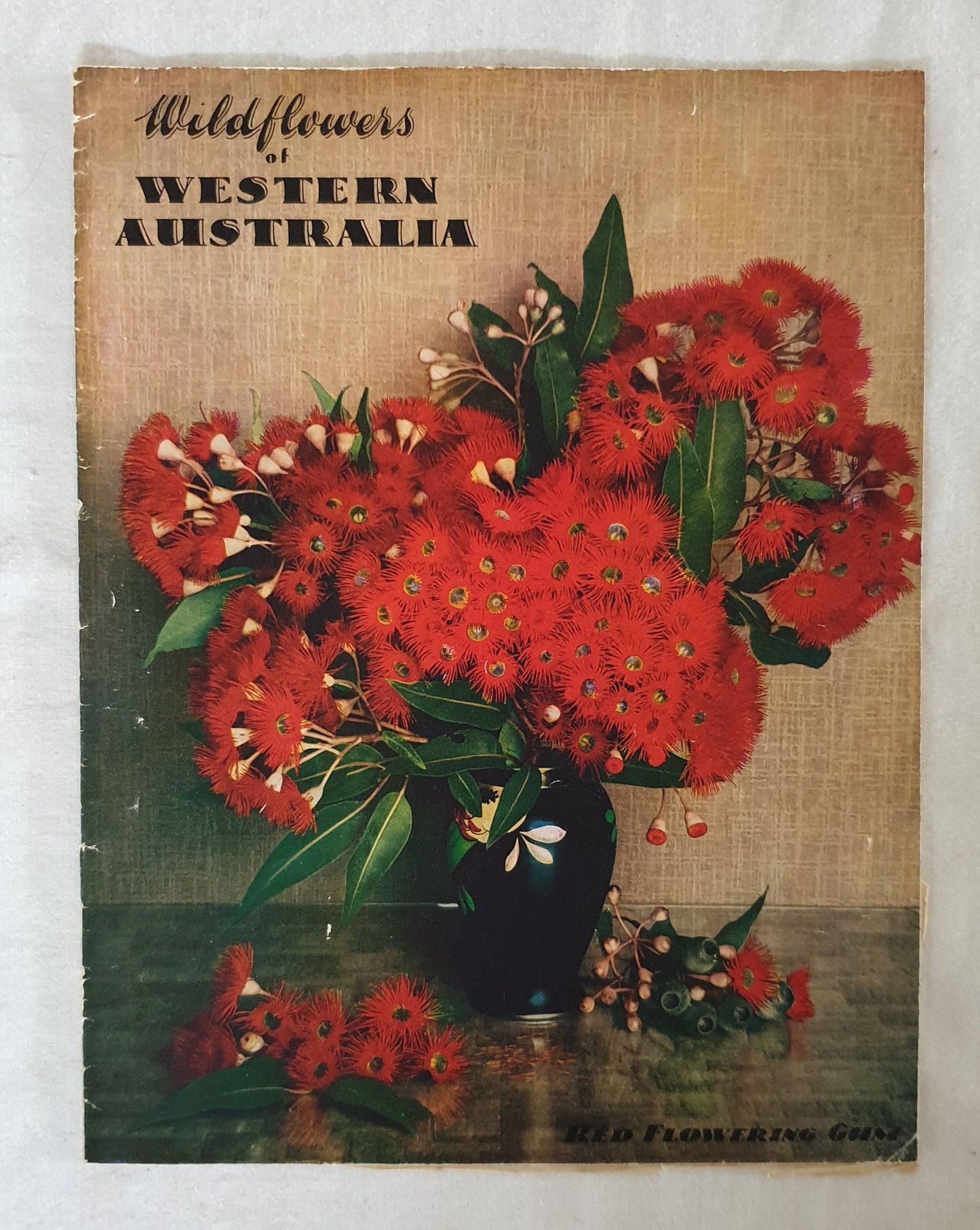 Wildflowers of Western Australia by C. A. Gardner
