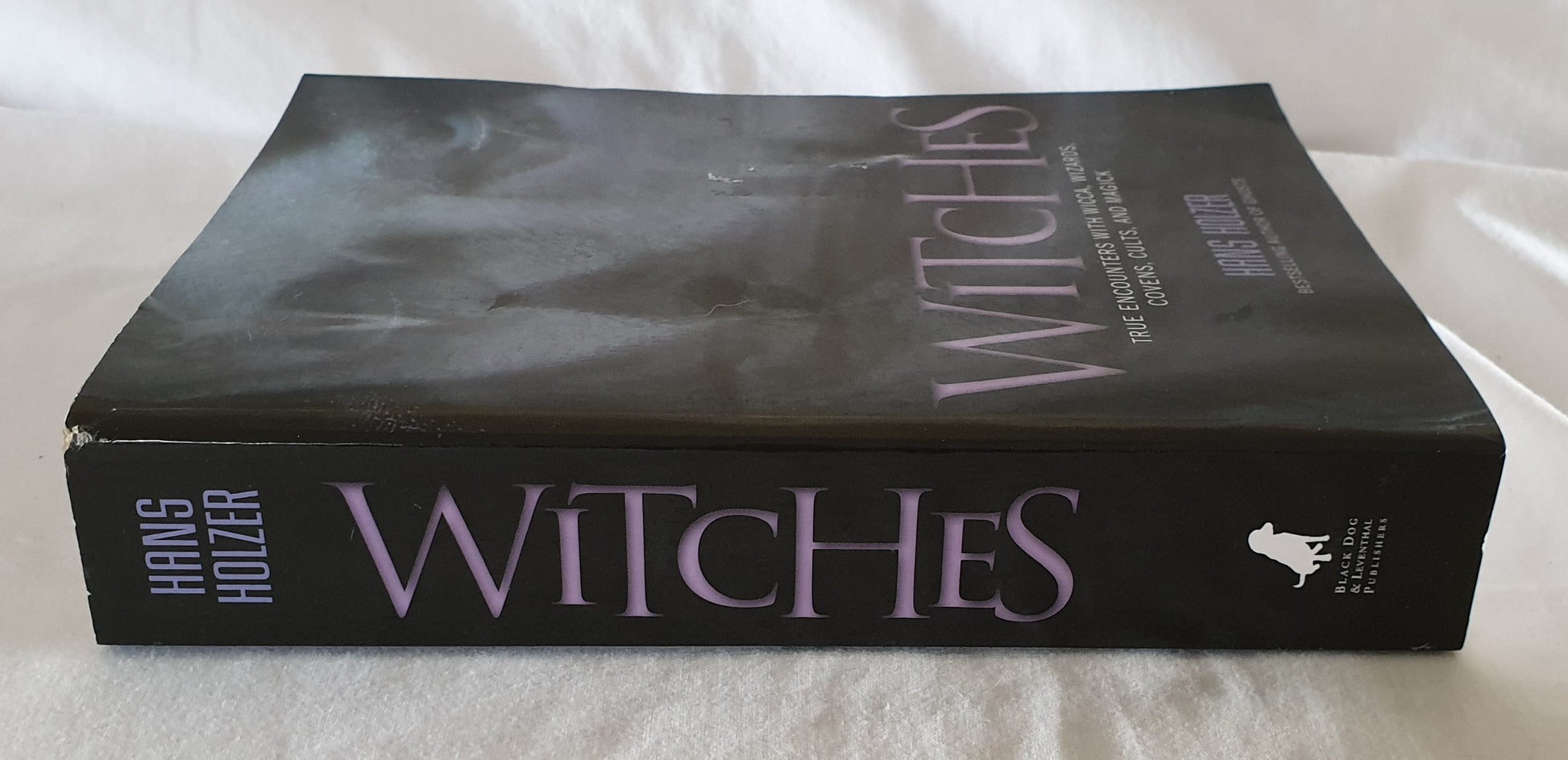 Witches  True Encounters with Wicca, Wizards, Covens, Cults, and Magick  by Hans Holzer
