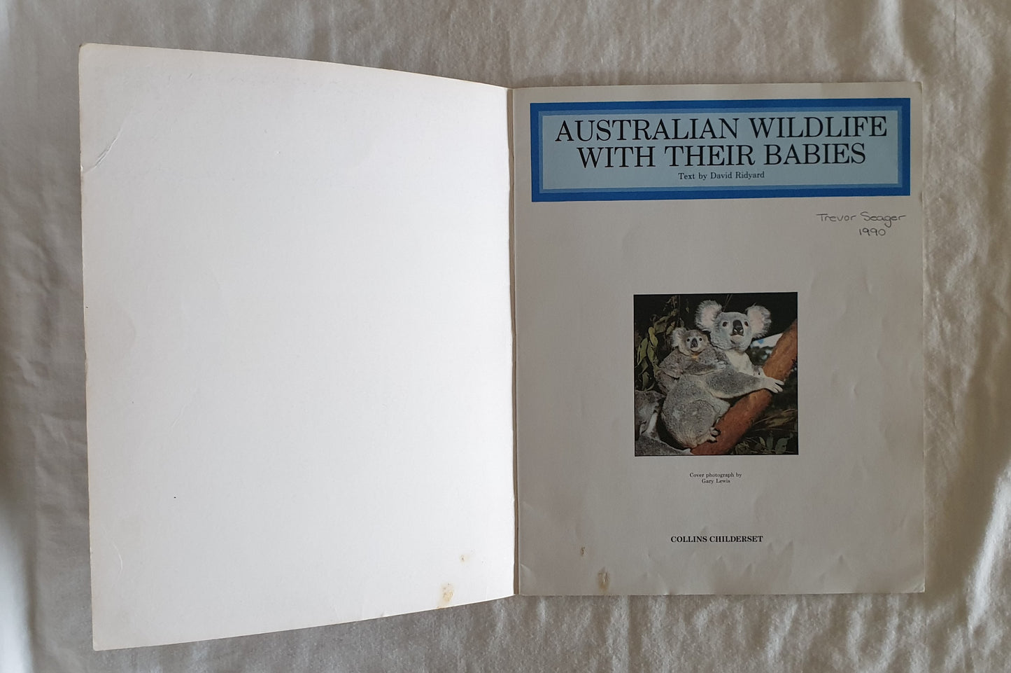Australian Wildlife With Their Babies by David Ridyard