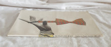 Load image into Gallery viewer, Bustles and Beaus Fashion in South Australia 1881 - 1981 by Judith Thompson