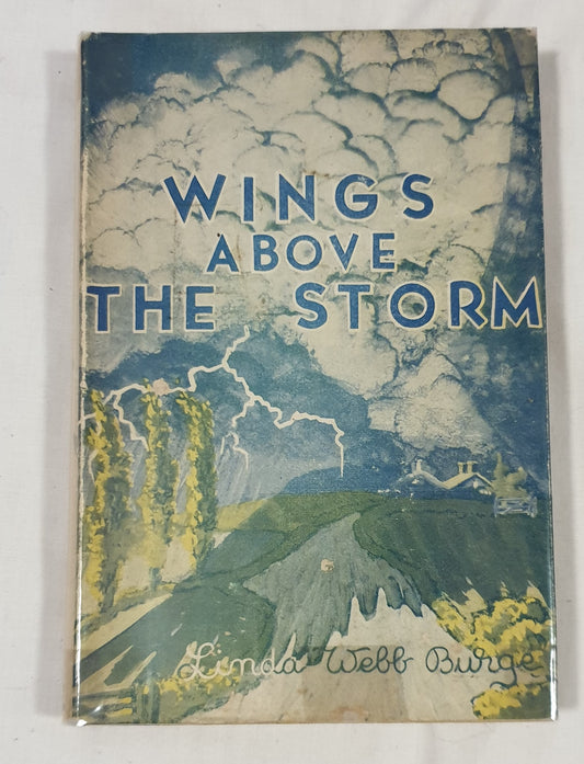 Wings Above The Storm by Linda Webb Burge