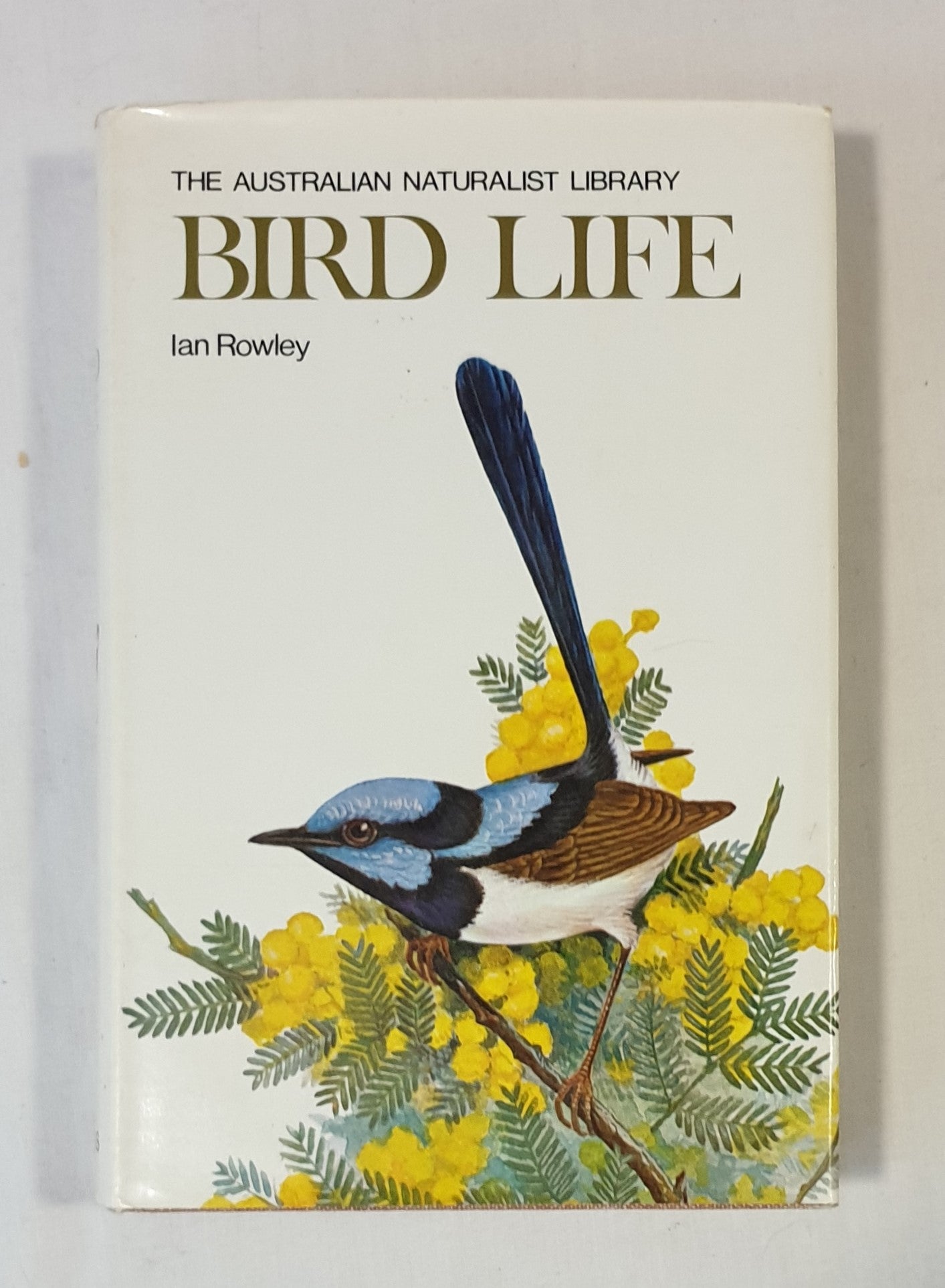 Bird Life by Ian Rowley