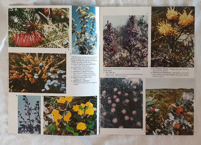 A Guide to 101 Wildflowers of Western Australia