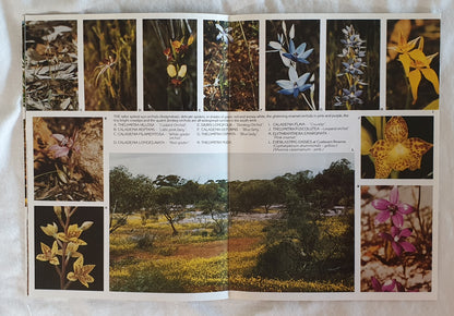 A Guide to 101 Wildflowers of Western Australia