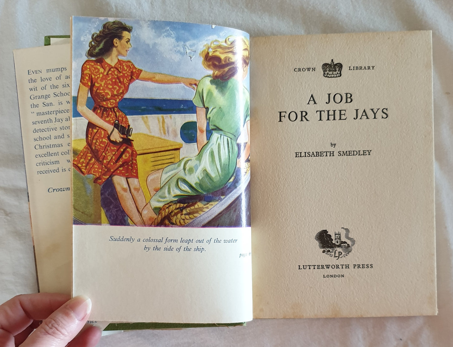 A Job for the Jays by Elisabeth Smedley