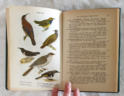 An Australian Bird Book J. A. Leach
