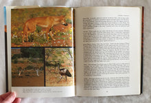 Load image into Gallery viewer, The Complete Guide to Central Australia by Jeff Carter and Mare Carter