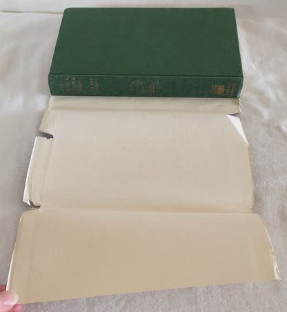 The Billion Dollar Body by Joseph Shallit