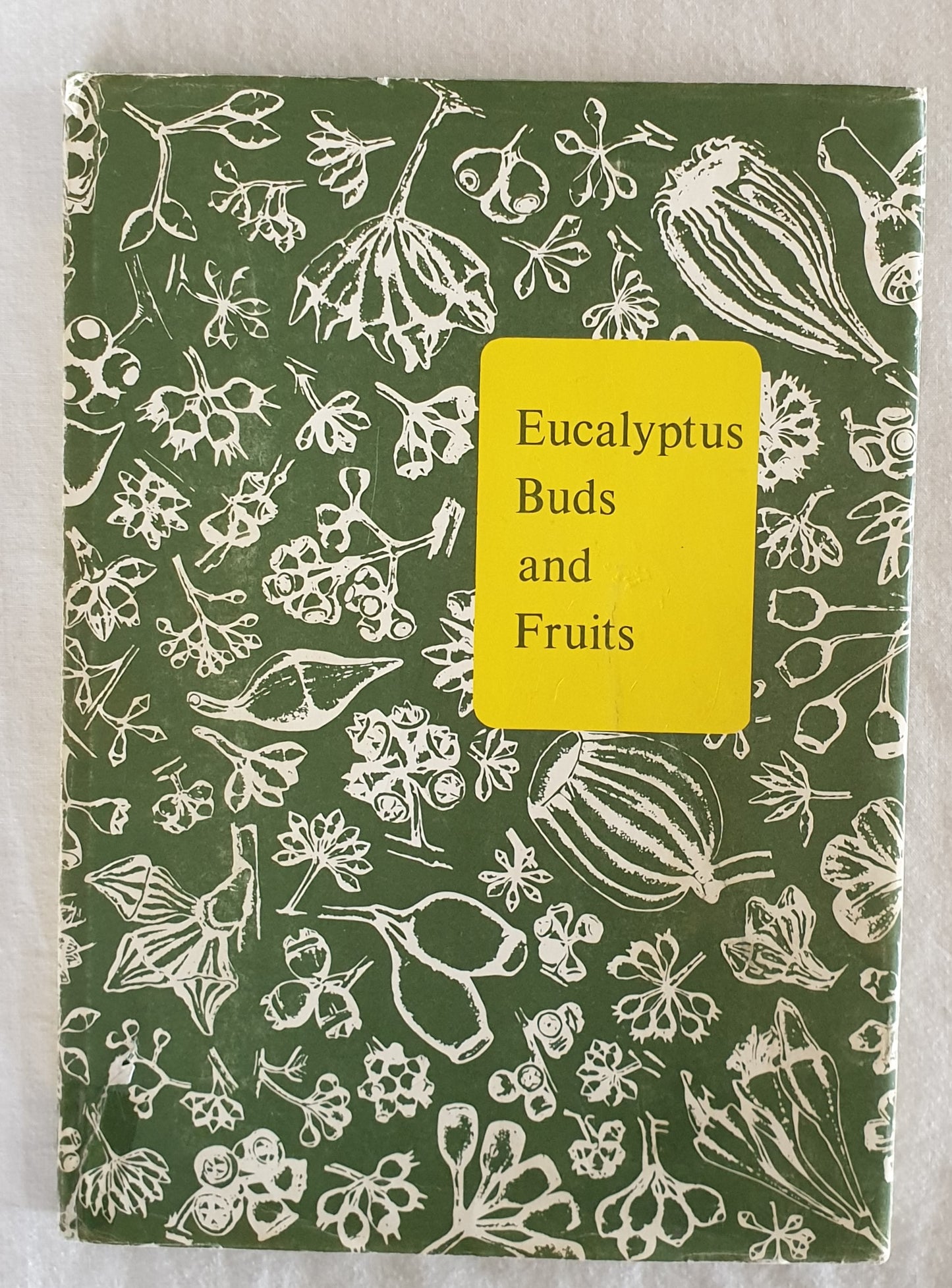 Eucalyptus Buds and Fruits by G. M. Chippendale