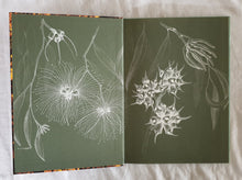Load image into Gallery viewer, Australia&#39;s Wildflowers by Michael Morcombe