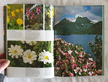 Load image into Gallery viewer, Australia&#39;s Wildflowers by Michael Morcombe