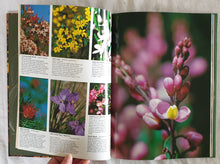 Load image into Gallery viewer, Australia&#39;s Wildflowers by Michael Morcombe