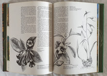 Load image into Gallery viewer, Australia&#39;s Wildflowers by Michael Morcombe