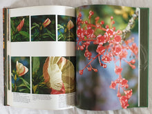 Load image into Gallery viewer, Australia&#39;s Wildflowers by Michael Morcombe