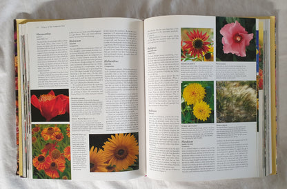 The Ultimate Book of Flowers by Roger Mann