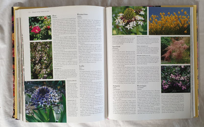 The Ultimate Book of Flowers by Roger Mann
