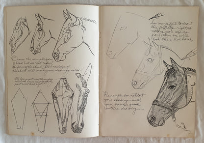 How To Draw Horses by Walter Foster