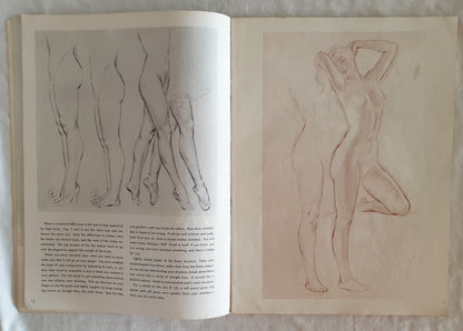 Drawing the Figure by Russell Iredell