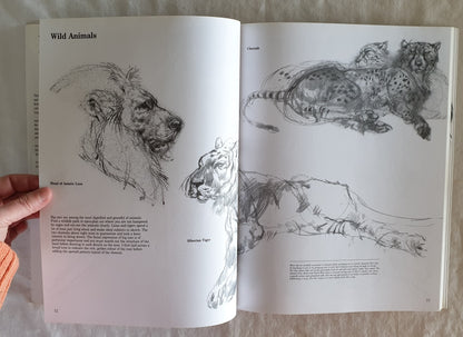 Drawing Animals by Victor Ambrus