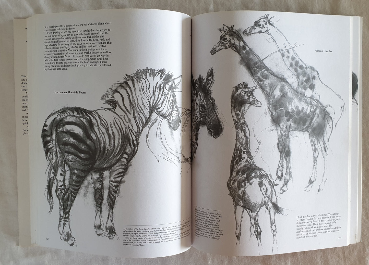 Drawing Animals by Victor Ambrus