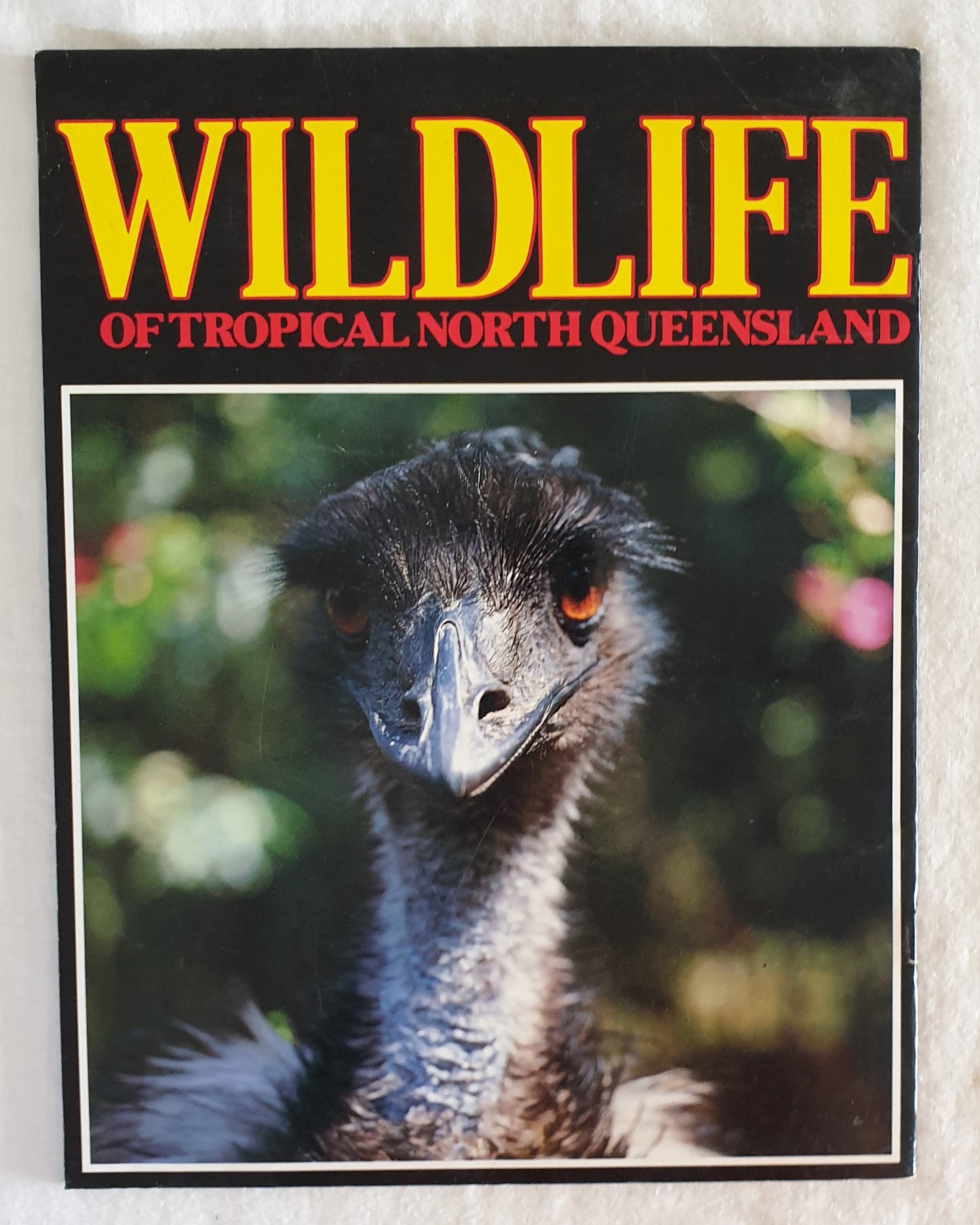 Wildlife of Tropical North Queensland