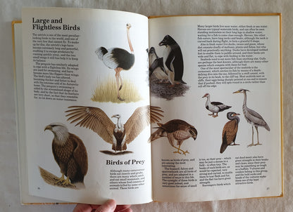 The Natural World by Cliveden Press