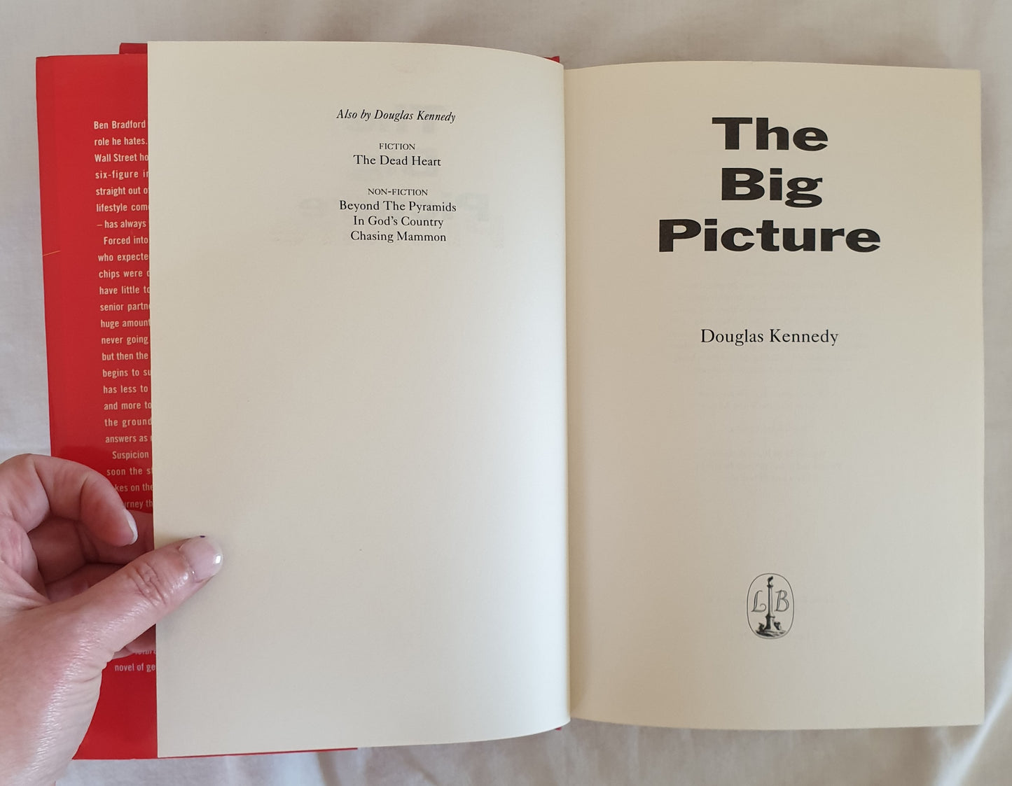 The Big Picture by Douglas Kennedy
