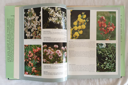 Flowers and Plants of Victoria by Cochrane, Furher, Rotherham and Willis