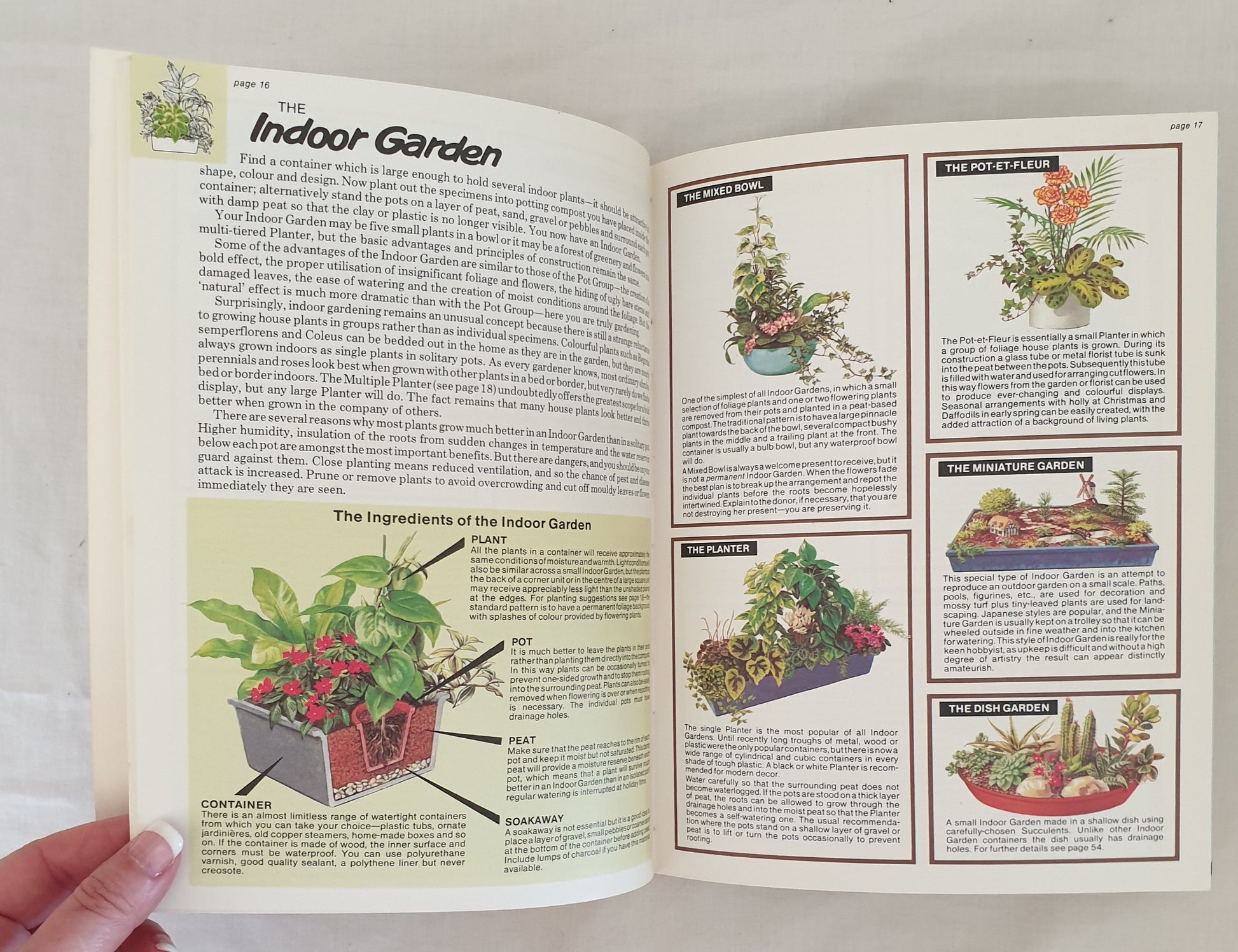the house plant expert The House Plant Expert by D. G. Hessayon – Morgan's Rare Books