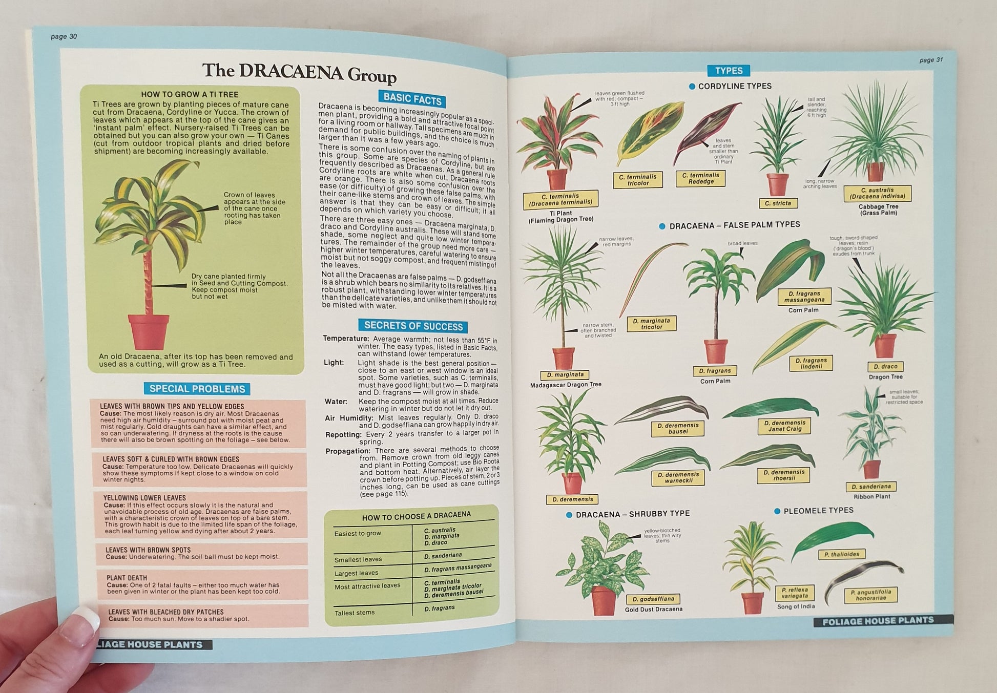the house plant expert hessayon The House Plant Expert by D. G. Hessayon – Morgan's Rare Books
