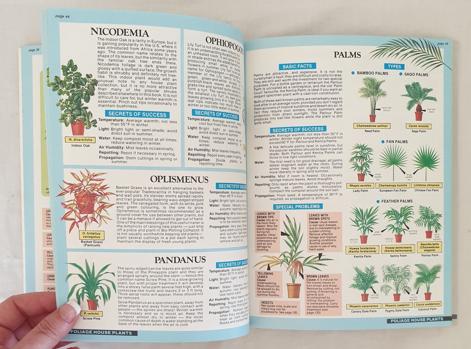 the house plant expert The House Plant Expert by D. G. Hessayon – Morgan's Rare Books