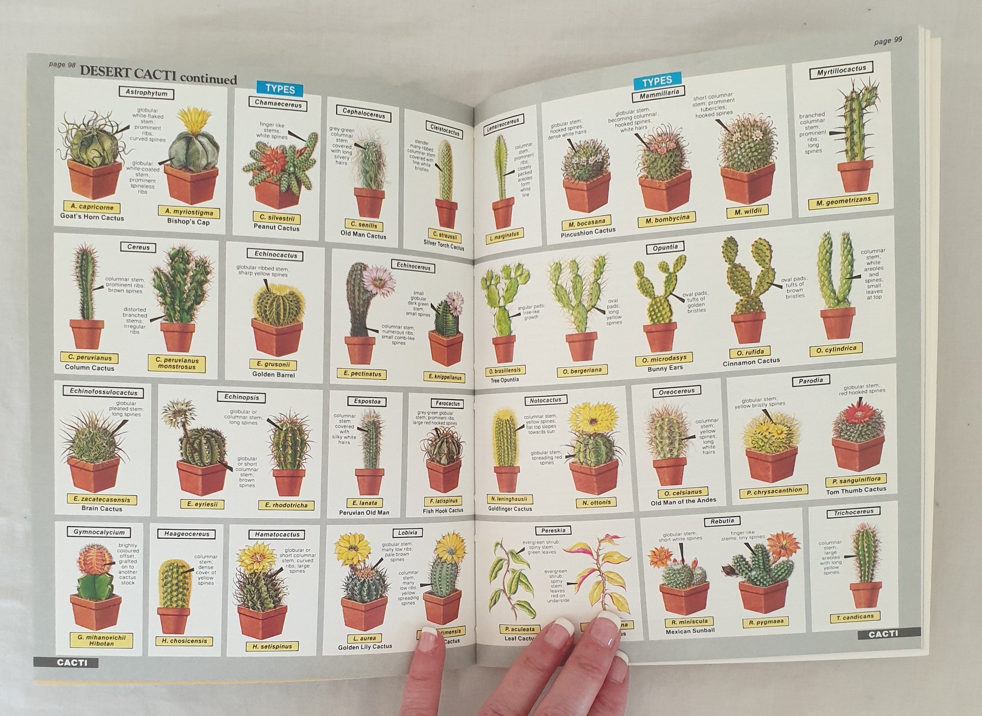hessayon house plant expert The House Plant Expert by D. G. Hessayon – Morgan's Rare Books