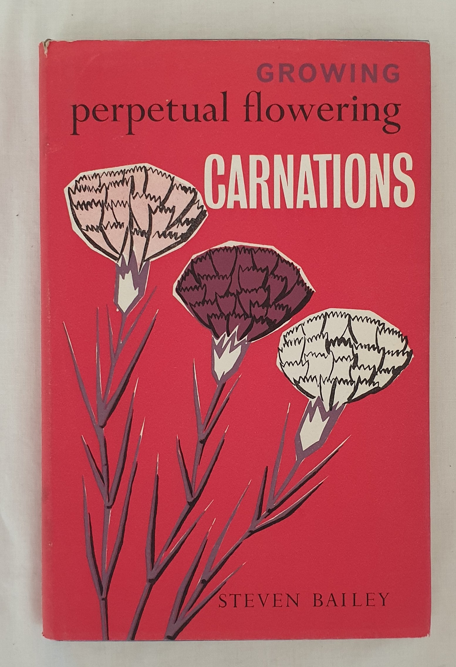 Growing Perpetual Flowering Carnations by Steven Bailey